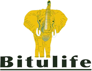 logo-bitulife__1_-removebg-preview-1